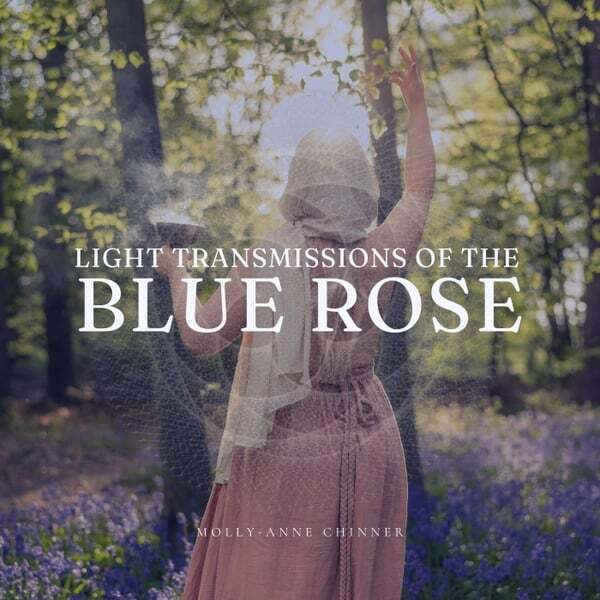 Cover art for Light Transmissions of the Blue Rose